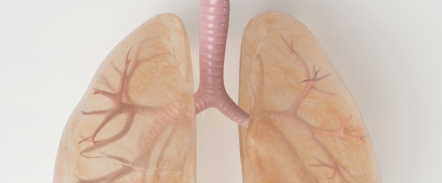 Fisioterapia Respiratoria a Domicilio en Madrid