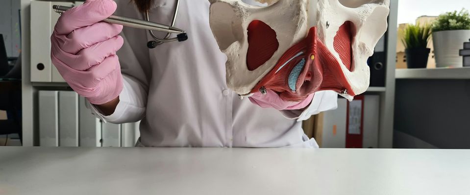 Fisioterapia Domicilio Suelo Pélvico Madrid