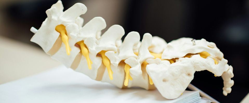 Fisioterapia a Domicilio Hernia Discal Lumbar