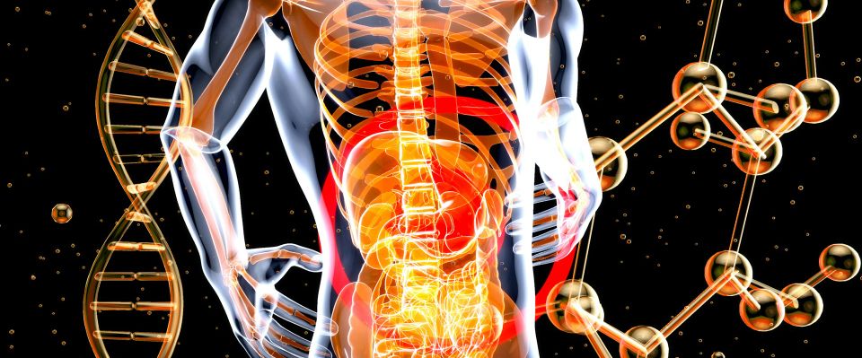 Fisioterapia Osteoporosis Domicilio Madrid