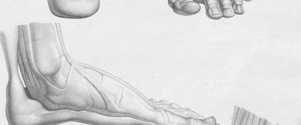 Fisioterapia Domicilio Tendinitis Aquilea