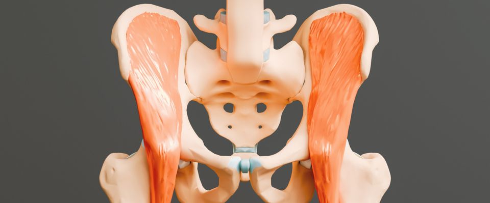 Fisioterapia Domicilio Pubalgia Madrid