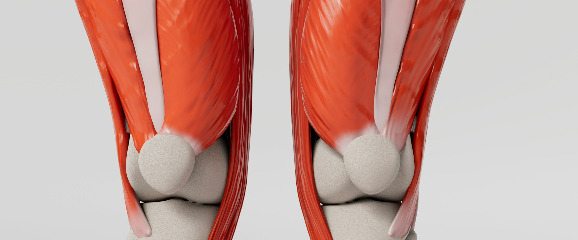Fisioterapia Domicilio Rotura Fibrilar